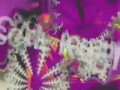 ��-���� ��� ��� Pascal Kleiman and VJ DMT