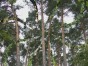 Beauty of the Environment