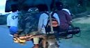�������� ��������� �� �����������