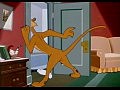 12  ���� ���� ����� Lion Down - 1951 (Sheikn)