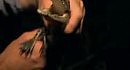 River Monsters: ������� ��������� ����� ����