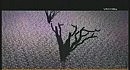 Depeche Mode -Precious