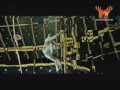 Guano Apes - You Can't Stop Me