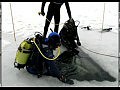 ����� Sigmasub. �����������. �������������� �����. ���������� ��� ��������� �����. ���������. �������. ���� - ��������.com.ua