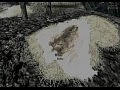 ����������� The Elder Scrolls V: Skyrim 150 ����� (��������������� #4)