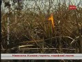 Під Києвом не можуть загасити торфові поля!