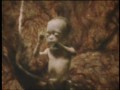 teardrop - massive attack