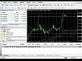 RoboForex: � ��� ������������ ���������������?