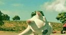 ����� | Bolt (����� ������)