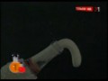 �����, ��������� - ��� �����