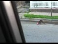 ������ ����� �������� � ��������� �����