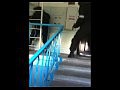 ������������ ���� ������ ����������