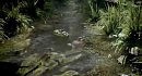 Crysis 3 - �������� �������