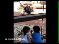 �������� ���������� ������ �� �����