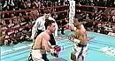 The Best Knockouts