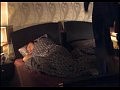 ������ ������ �������� ����� 1 ����� 1 �����