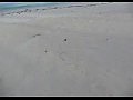 �������� ������ �������� ��������
