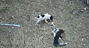 ����� � ������ ������� )).avi