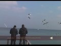 Foreigners living in Odessa