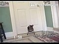 ����� - ��������