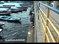 ���� ��� - ������ �����