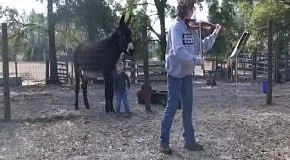 ���� ���� ��� ������������� �������