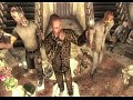 Fallout 3 - � ������ ������ �� �����