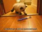����������! ������� � ������ �����