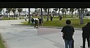 Skateboarding Dog