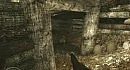 Call of Duty 5
