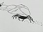 �������� ��������� / La Revolution des crabes