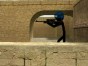 Counter Strike