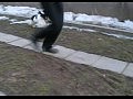 ������������ ����� ��������, �����,2