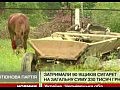�� �������� ������������� ��������� �������� ������� ����������� �������