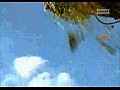 ���������: ��� ��� ��������? / Discovery: How its made?����� 4 ����� 5 (������������ �����, �������, ������, ������)
