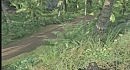 Crysis