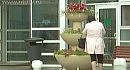 �� ������� ���� ���������� �������� ��������