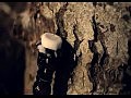 Moa Lignell - When I Held Ya
