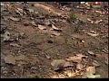 ������ ������ �������� ����� 1 ����� 4 �����
