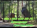 ������ ��������� ��� ������� ��� ������ mp4