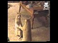 ���� - �������