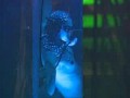 Sensation Black 2005