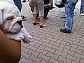 ��� ������