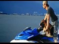Enrique Iglesias ft. Pitbull and The WAV.s - I Like How It Feels
