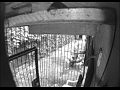 Clip (111016-105314)[(000099)10-55-33]