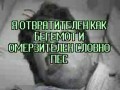 ���� ����� �������� ���� ...