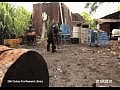 [YOUTUBE-HD]-Ape With AK-47