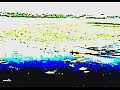 �������� ��� ������, ��� ������� �� ����������� ��������