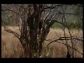 ����������� ����� ��������
