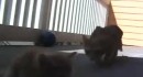 ���� ������ �� ������